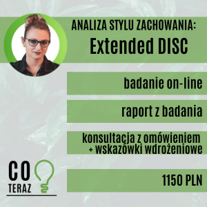 Extended DISC – analiza stylu zachowania, badanie online z raportem i konsultacją – usługa Anny Liszewskiej